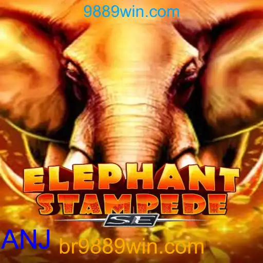 ElephantStampedeSE